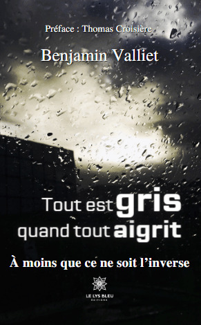 Tout est gris quand tout aigrit