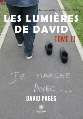 Les lumières de David