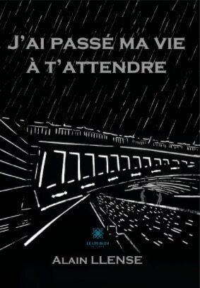 J'ai passé ma vie à t'attendre