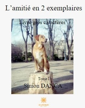 L’amitié en 2 exemplaires I