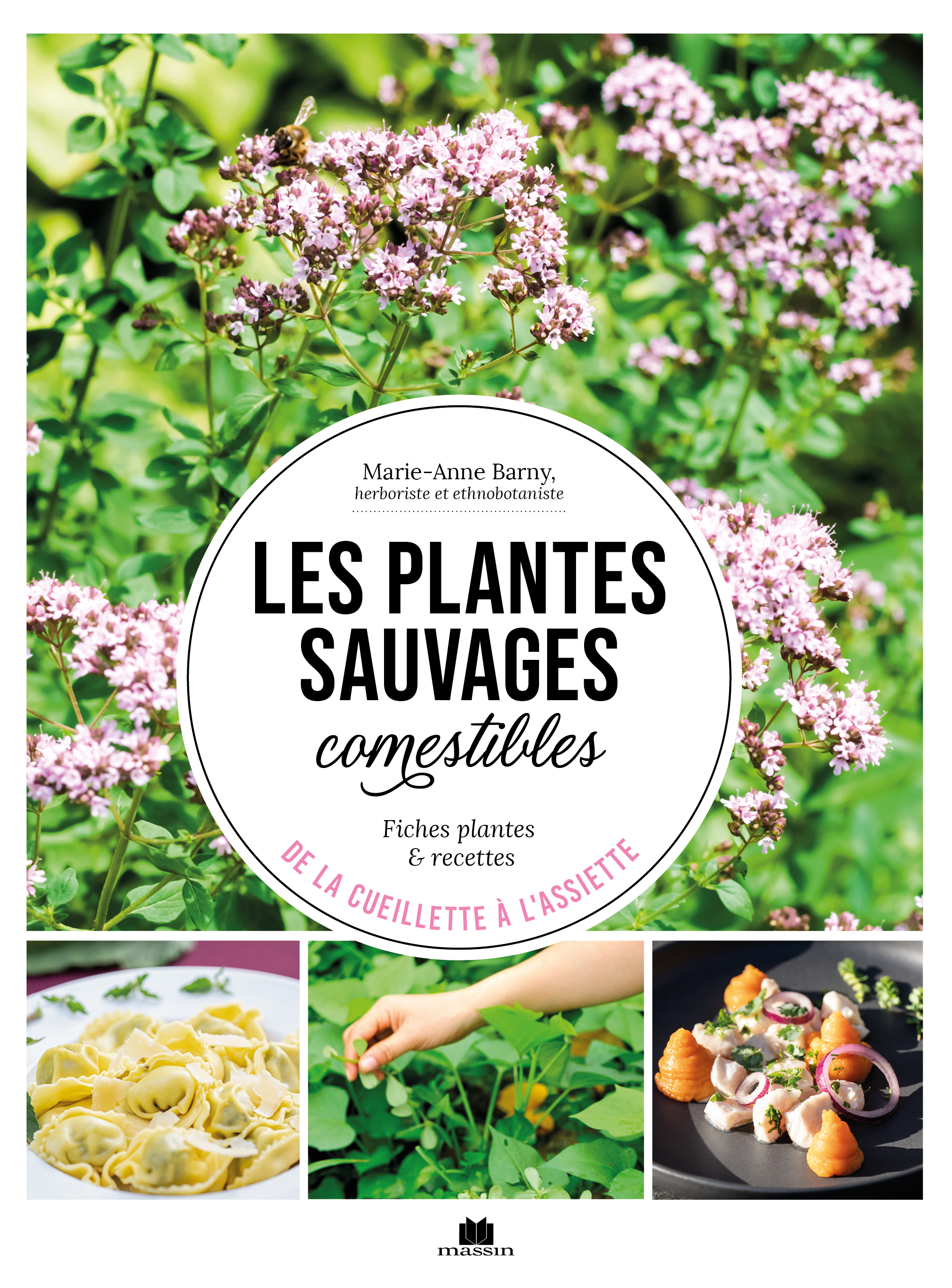 Les plantes sauvages comestibles