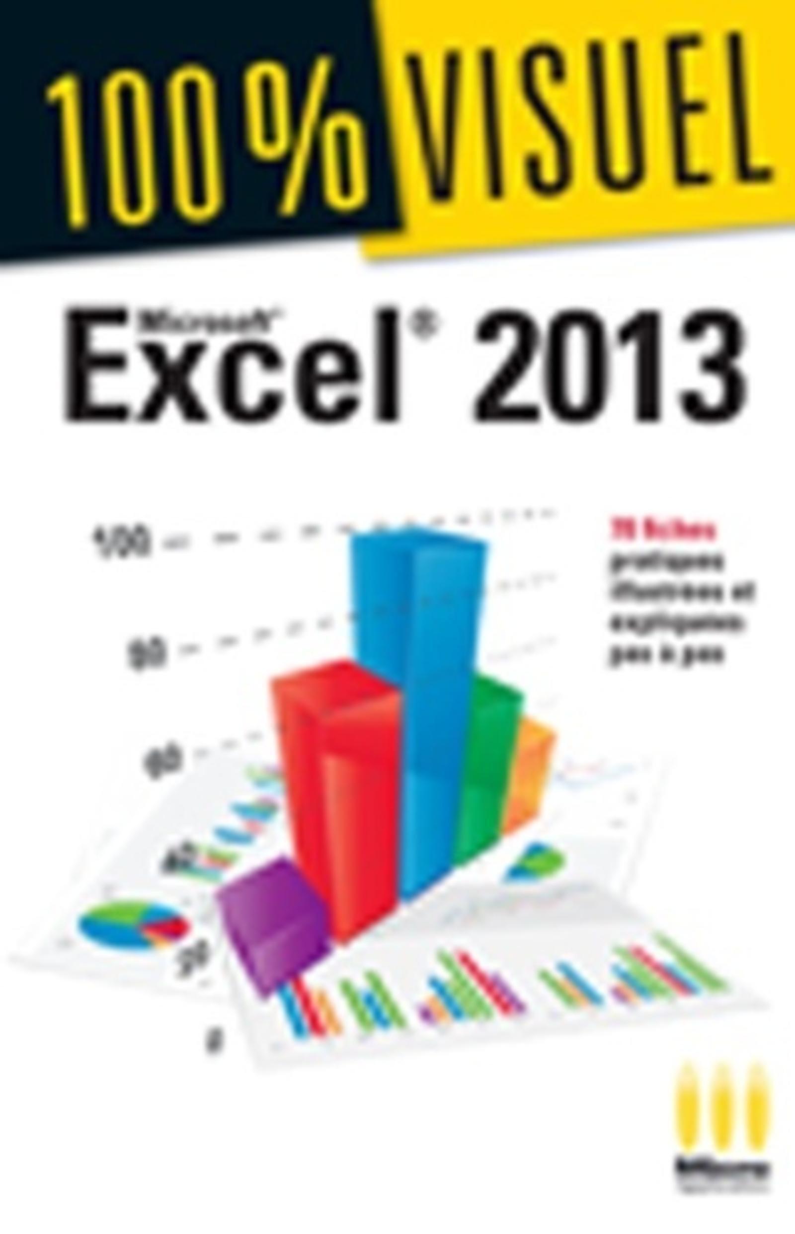 EXCEL 2013