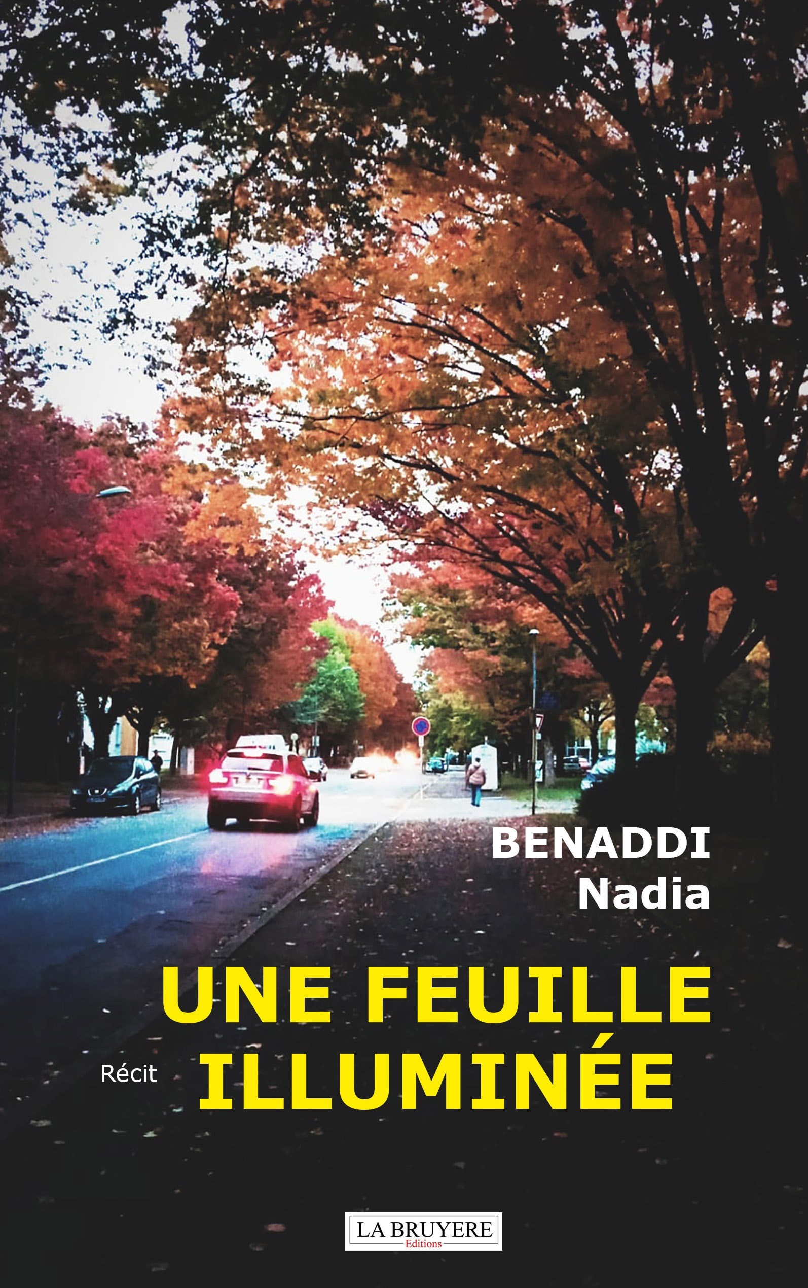 UNE FEUILLE ILLUMINEE