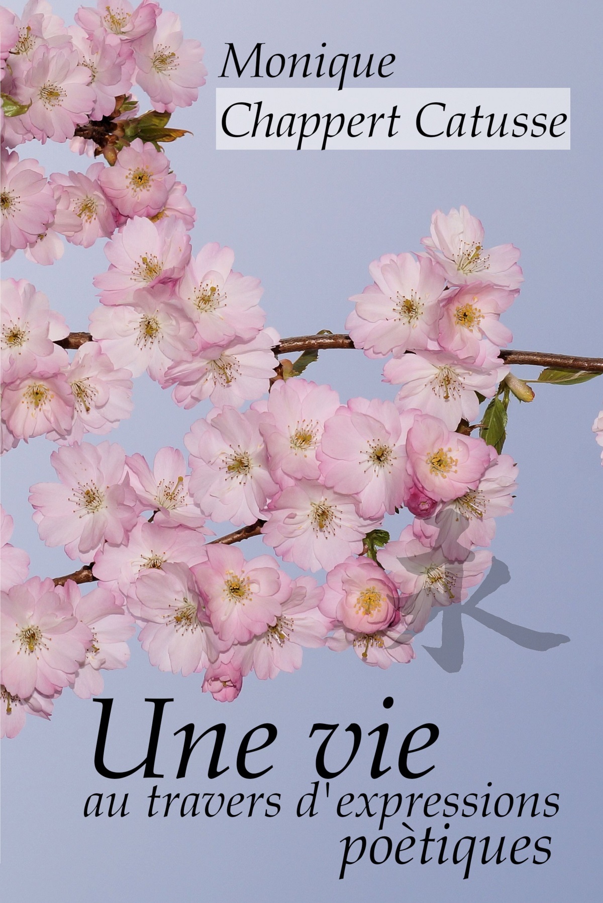 Une vie au travers d'expressions poétiques