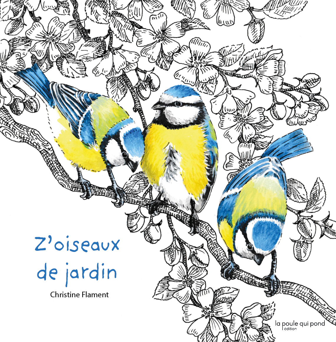 Z'OISEAUX DE JARDIN