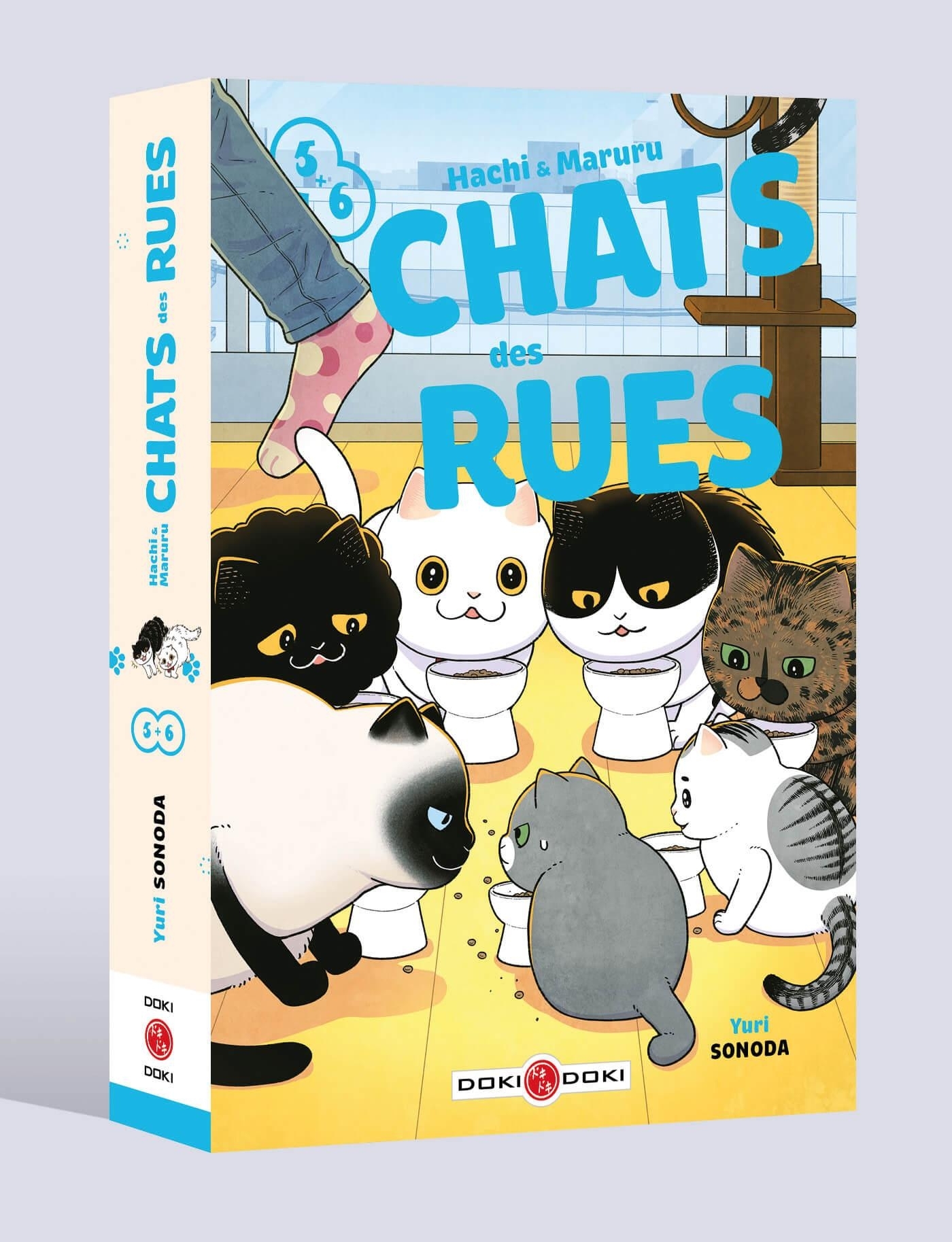 Hachi & Maruru - Chats des rues - écrin - vol 05 et 06