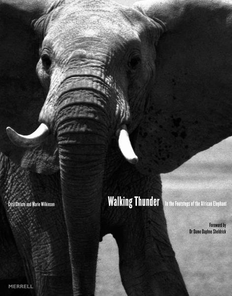 Walking Thunder : in the Footsteps of the African Elephant