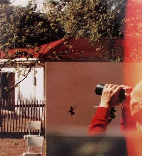 Jean Luc Mylayne /anglais