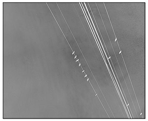 Deborah Luster Tooth For An Eye /anglais