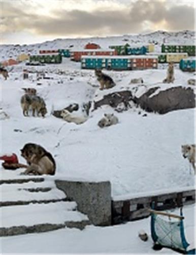 Anthony Goicolea Fictions /anglais