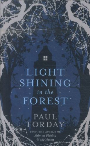 Light Shining in the Forest