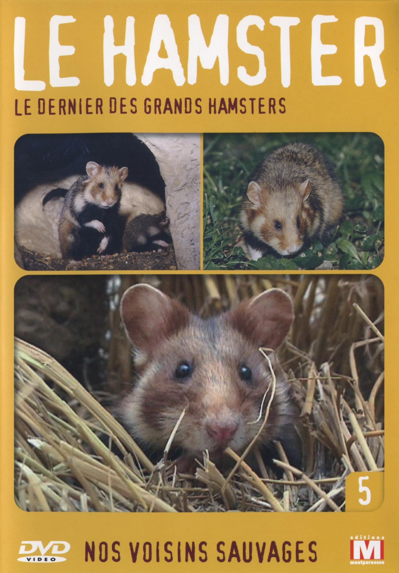 LE HAMSTER - DVD  LE DERNIER DES GRANDS HAMSTERS