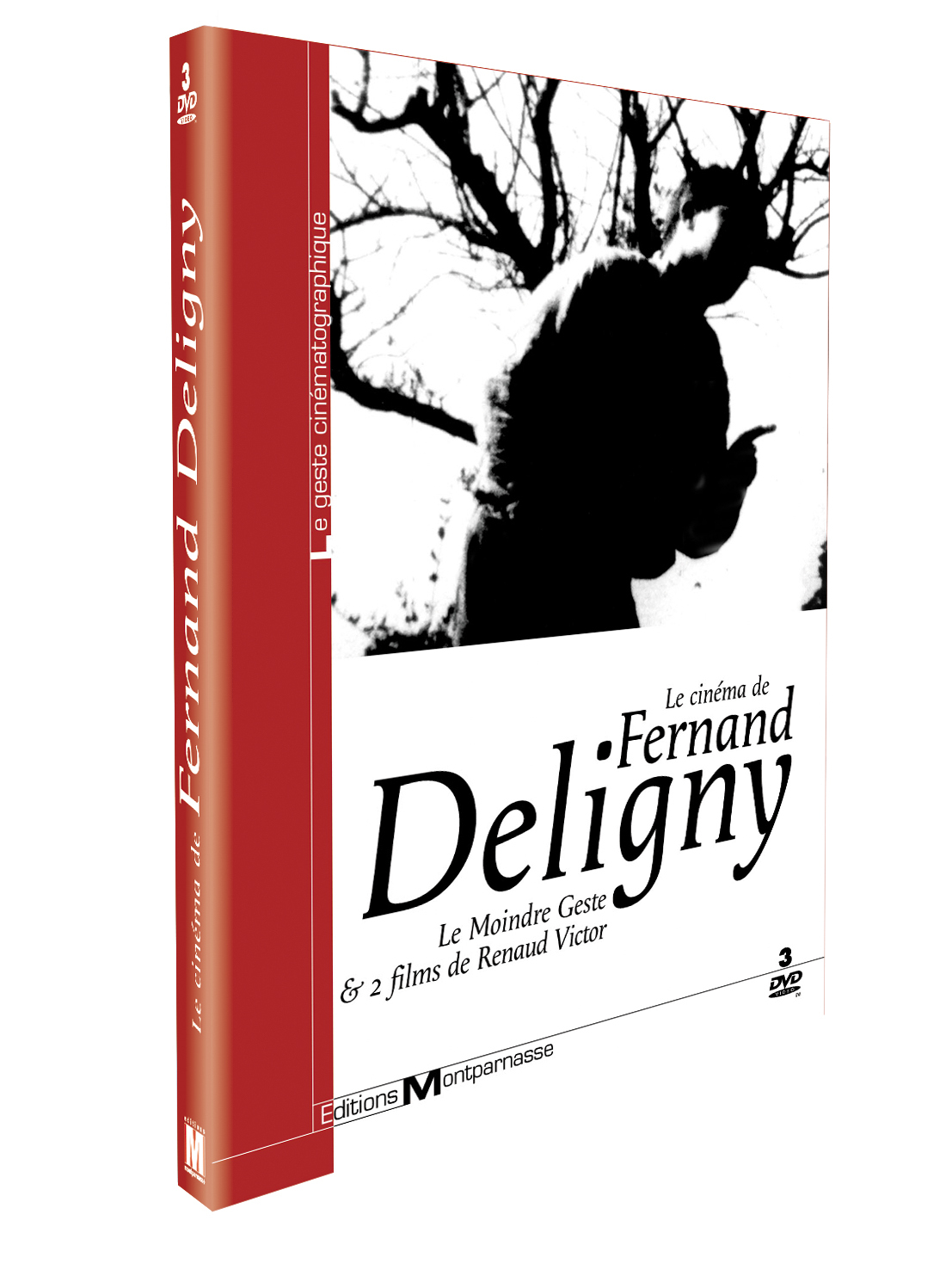 CINEMA DE F. DELIGNY (LE) - 3 DVD