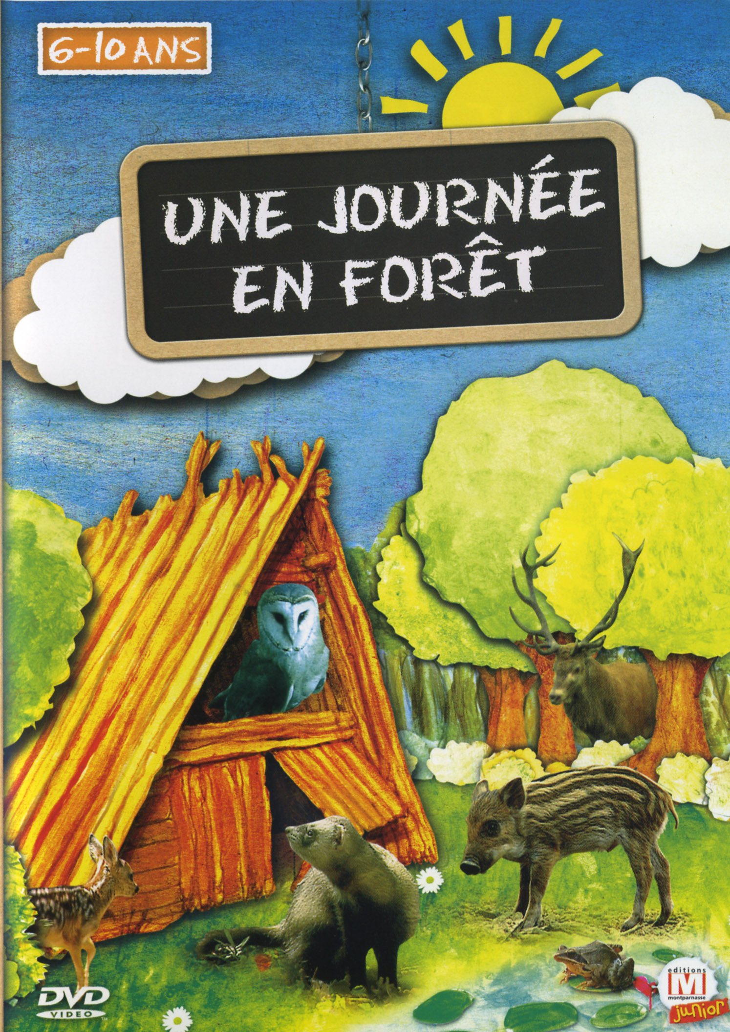 UNE JOURNEE EN FORET - DVD