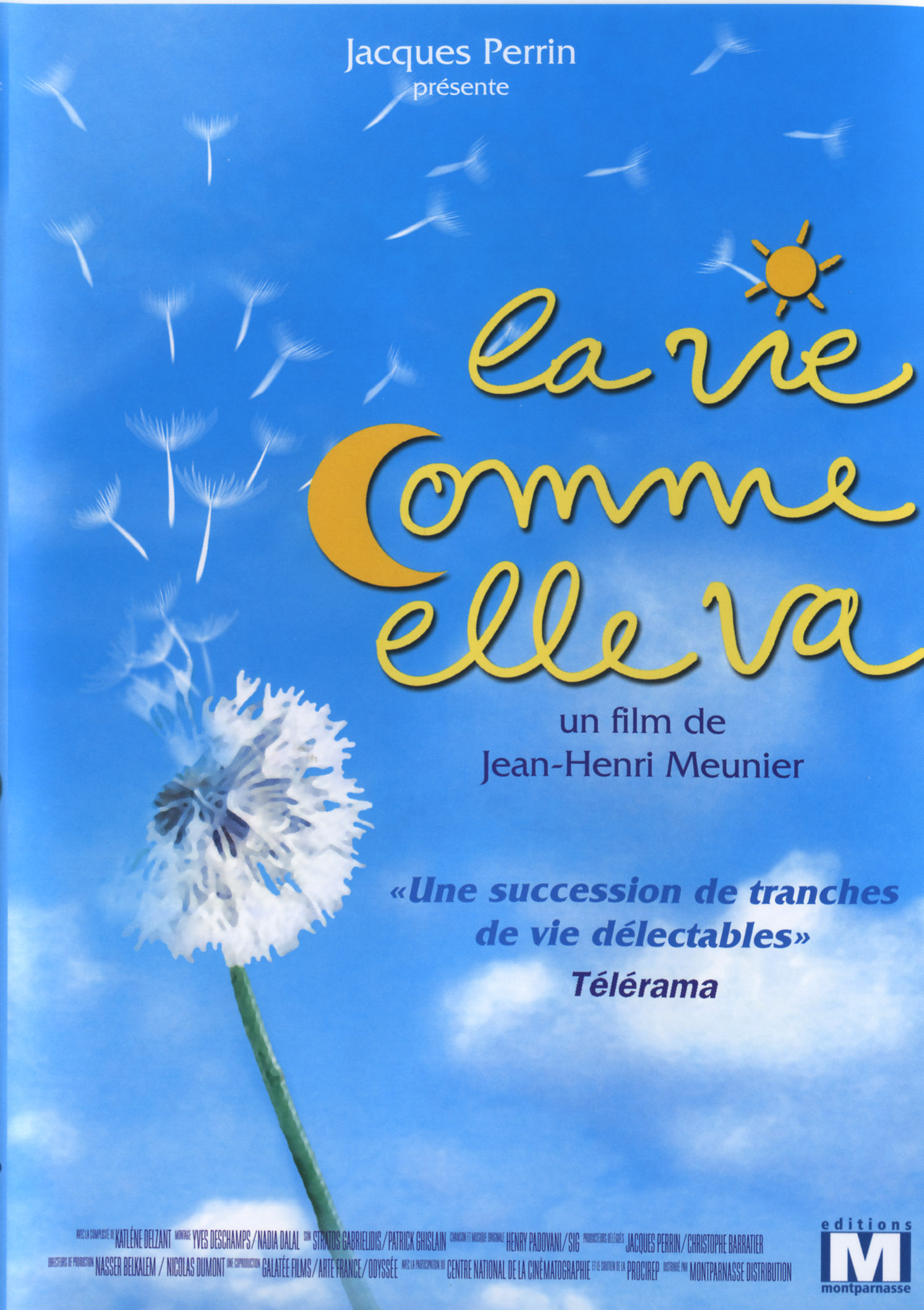 LA VIE COMME ELLE VA - DVD