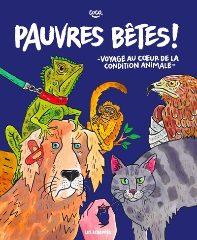 Pauvres bêtes ! - Voyage au coeur de la condition animale