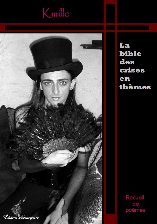 La bible des crises en thèmes