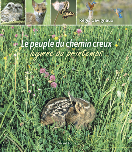LE PEUPLE DU CHEMIN CREUX hymne au printemps