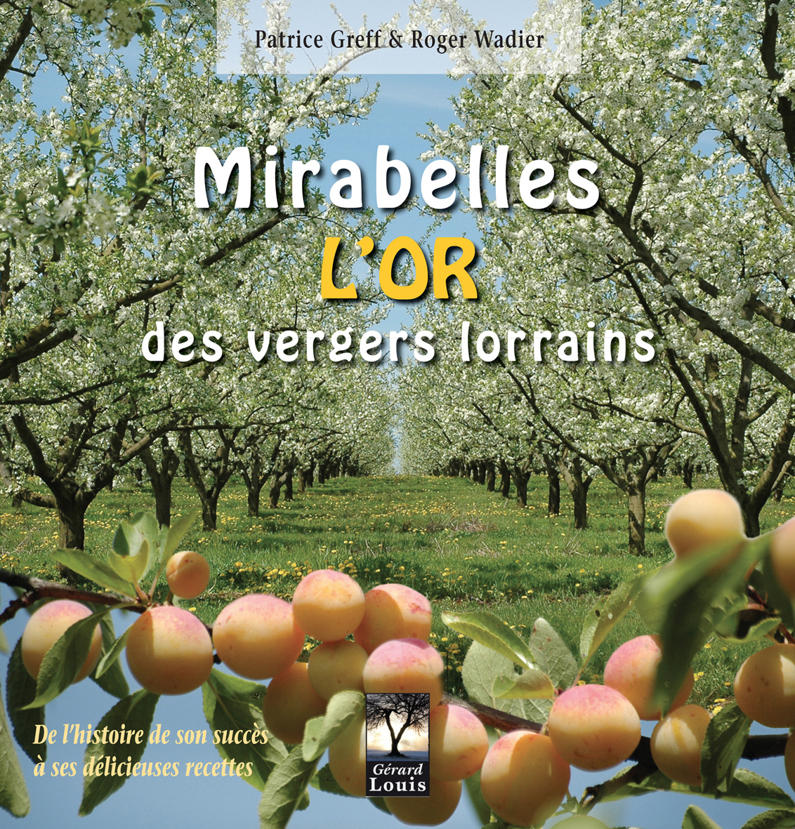 Mirabelles, l'or des vergers lorrains