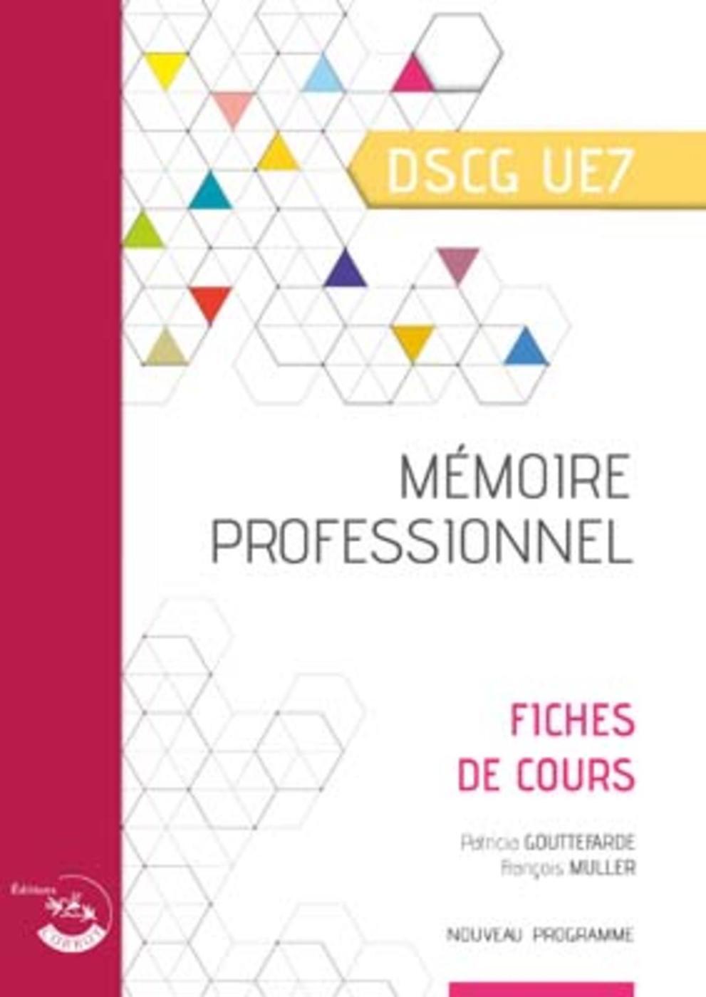 Mémoire professionnel
