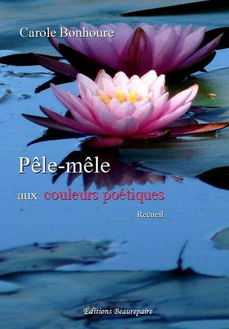 Pêle-mêle aux couleurs poétiques