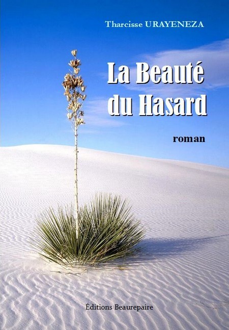 La Beauté du Hasard