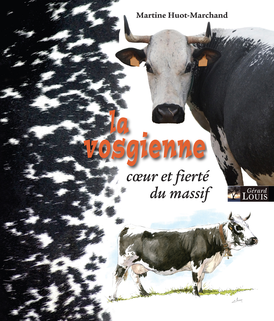 La vosgienne coeur et fierté du massif