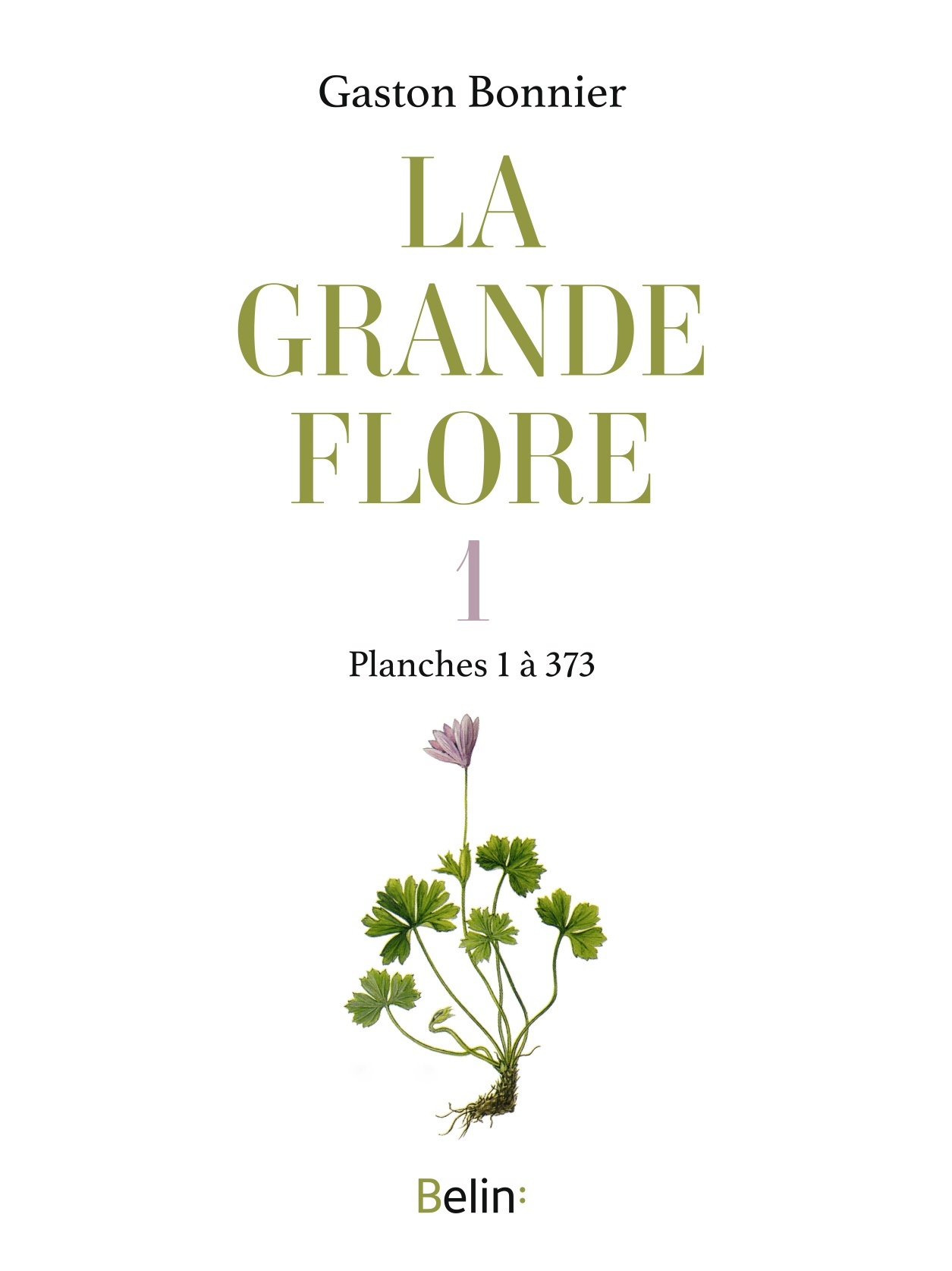 La grande flore en couleurs
