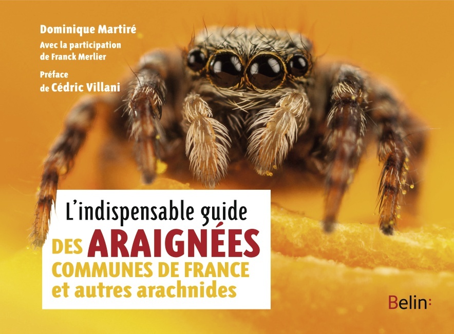 L'indispensable guide des araignées de France et autres arachnides