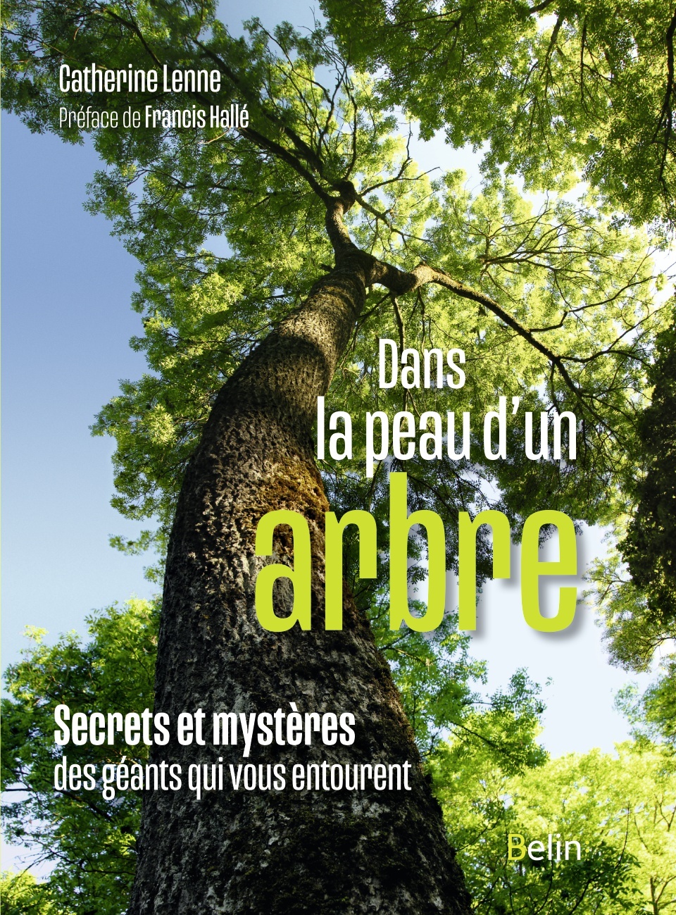 Dans la peau d'un arbre