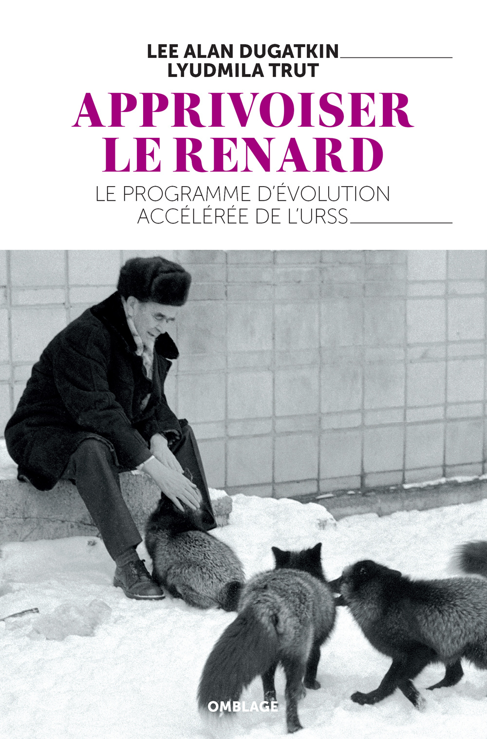 Apprivoiser le renard