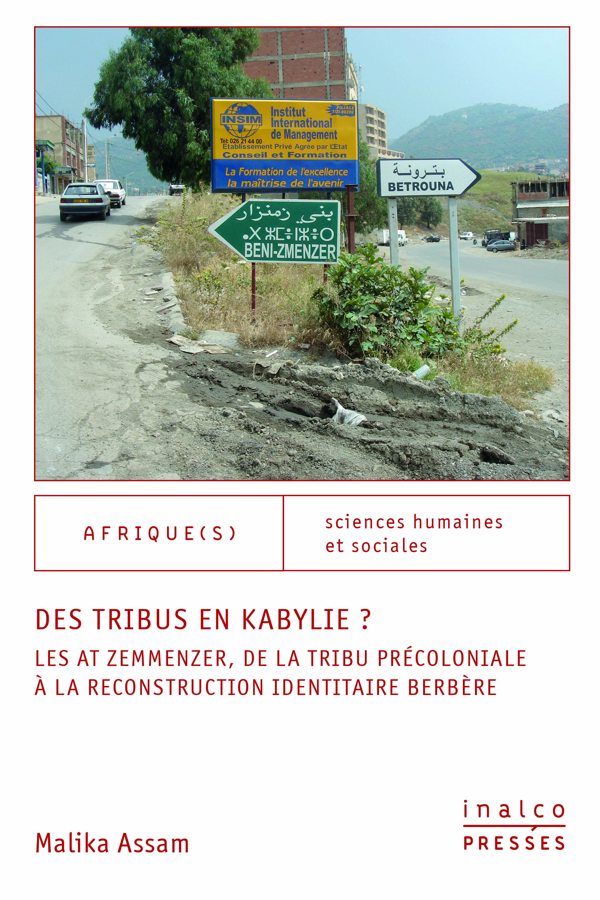 Des tribus en Kabylie ?