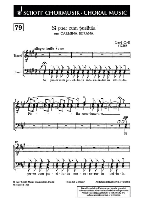 Si puer cum puellula