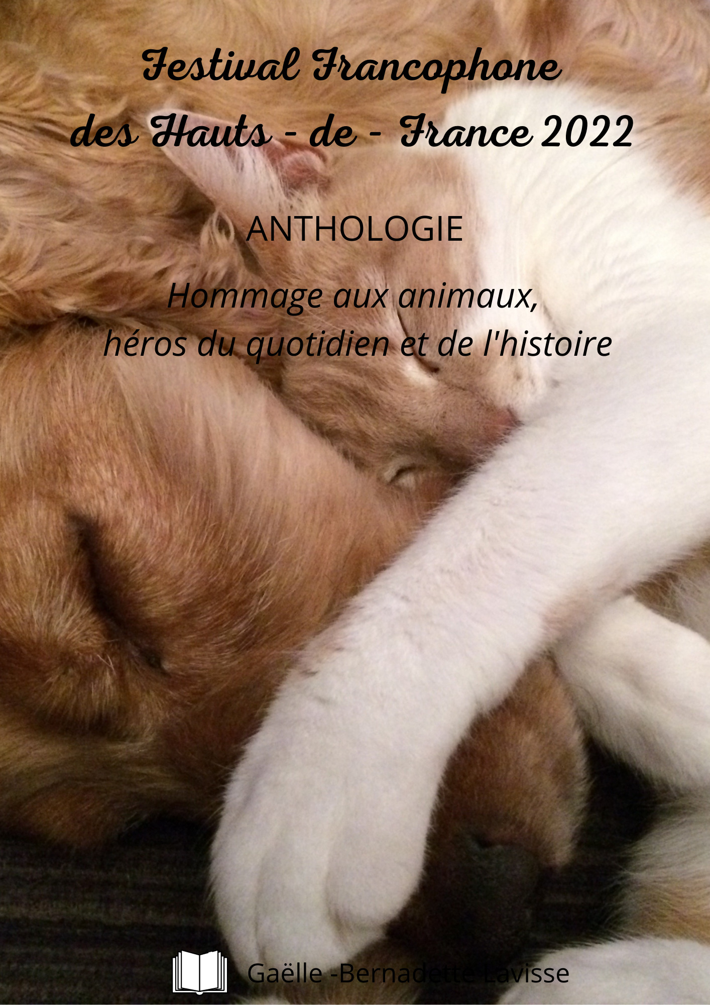 FESTIVAL FRANCOPHONE DES HAUTS DE FRANCE