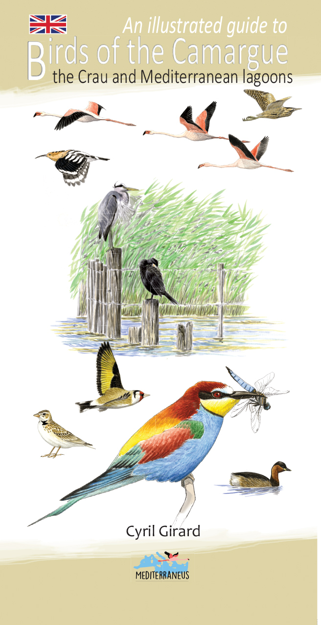 An illustrated guide to birds of the camargue and mediterranean lagoons