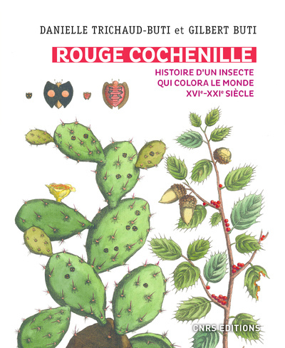 Rouge Cochenille. Histoire d'un insecte qui colora le monde XVIe-XXIe siècle