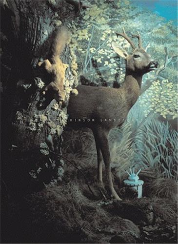 Conrad Atkinson: Landescapes /anglais