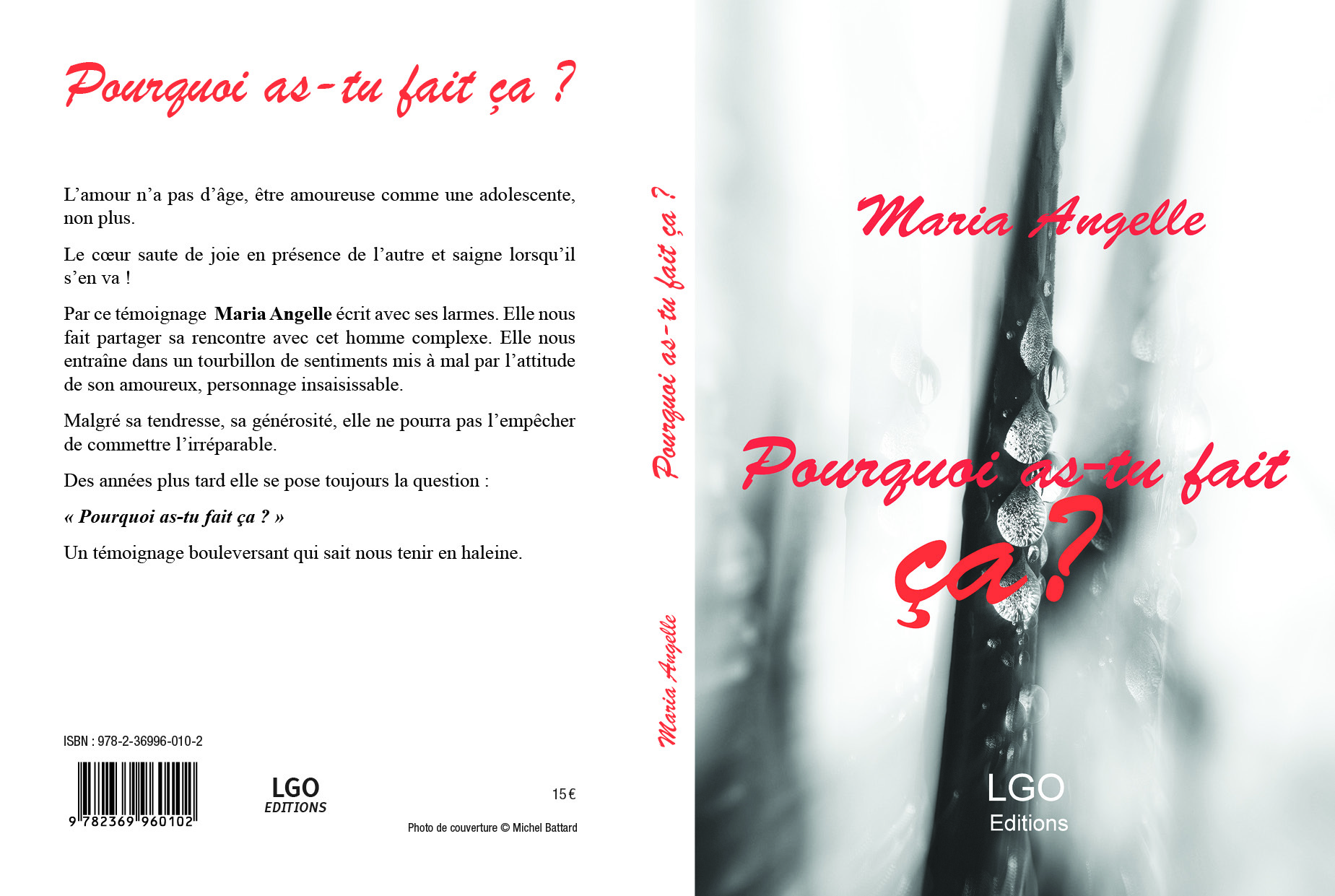 POURQUOI AS TU FAIT CA