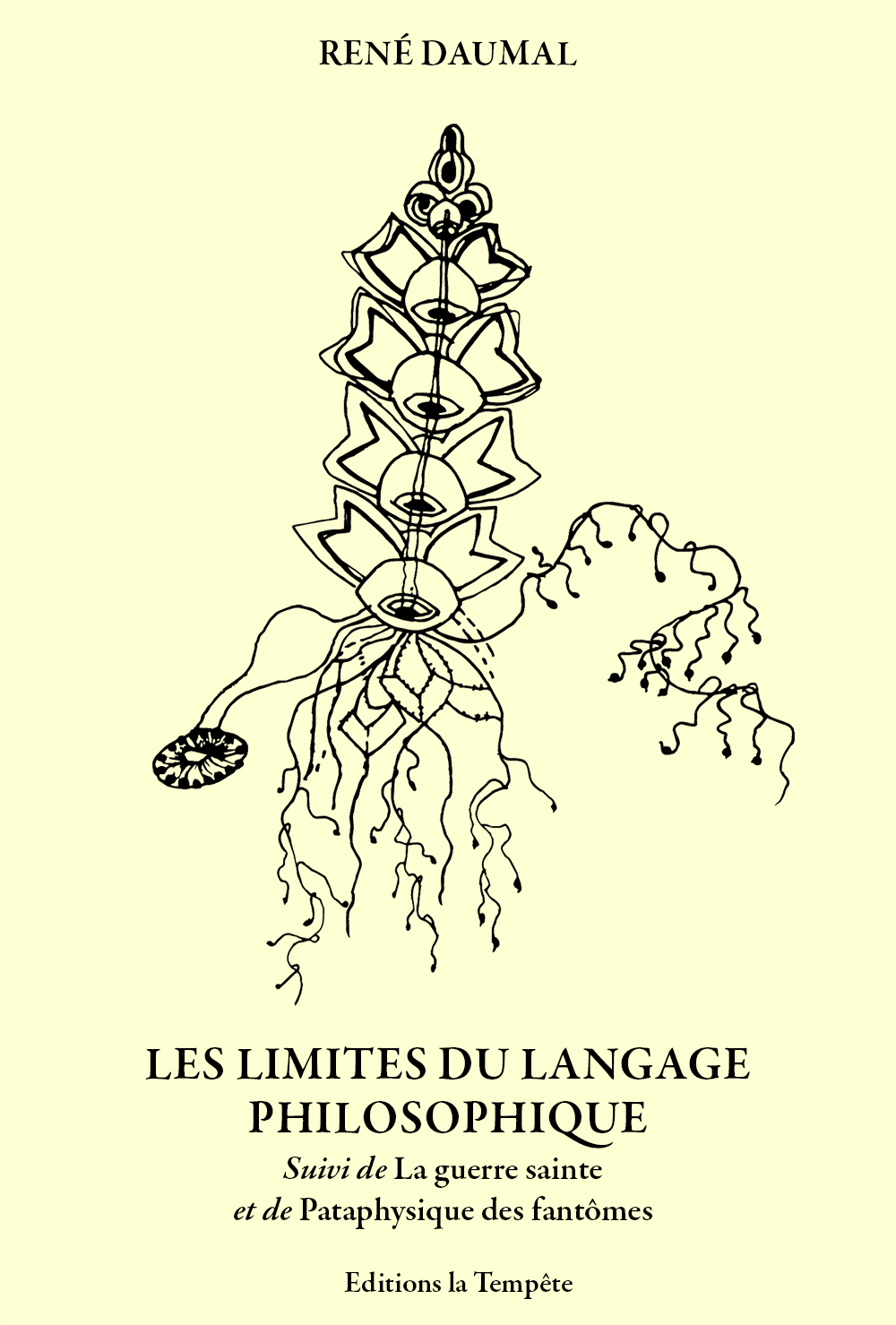 Les limites du langage philosophique (NED 2025)