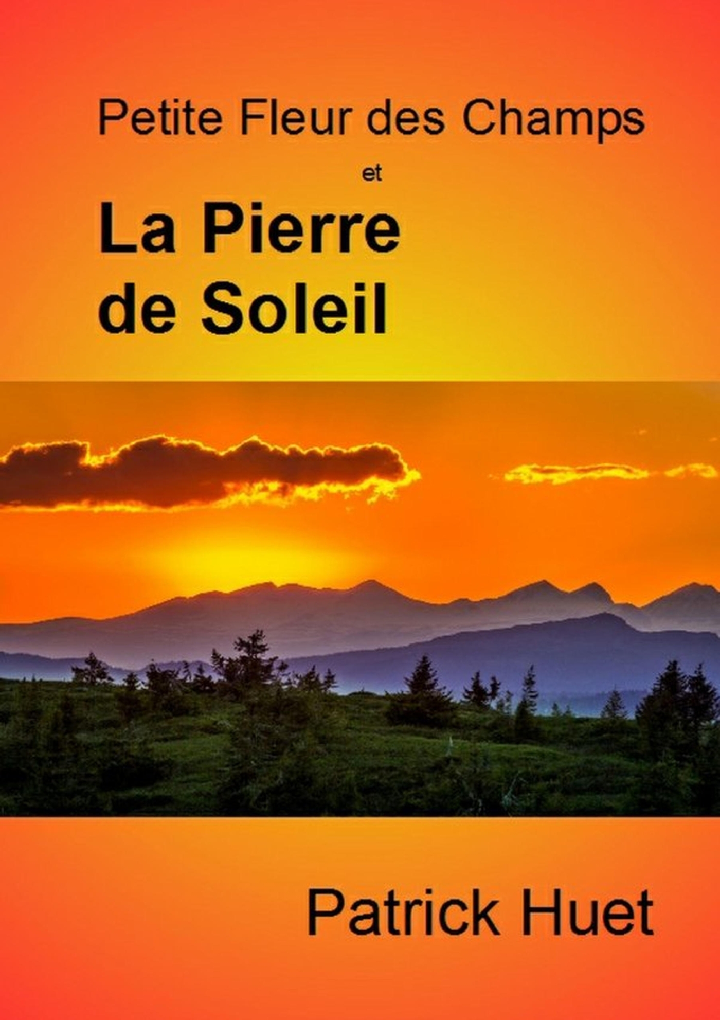 Petite Fleur des Champs et la Pierre de Soleil