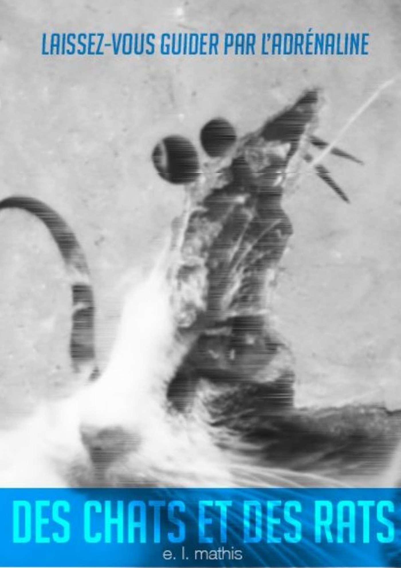 Des chats et des rats