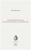 DAVID FOSTER WALLACE ET LES POUVOIRS DE LA LITTERATURE