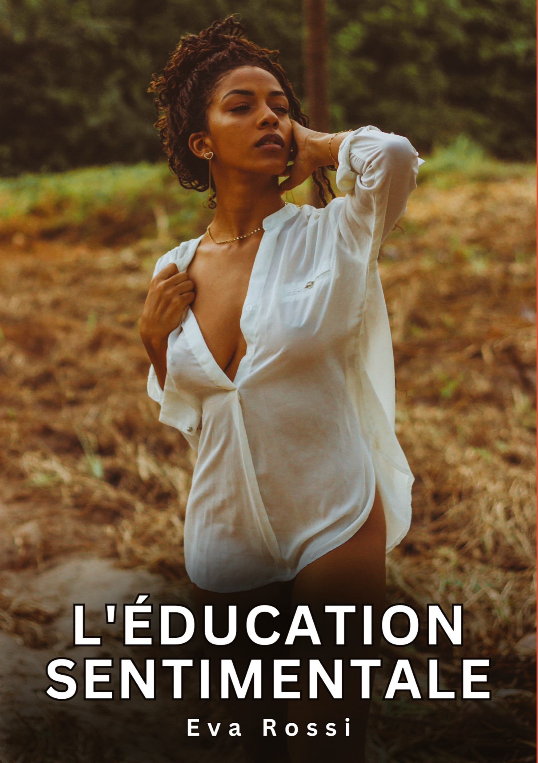 L'éducation Sentimentale