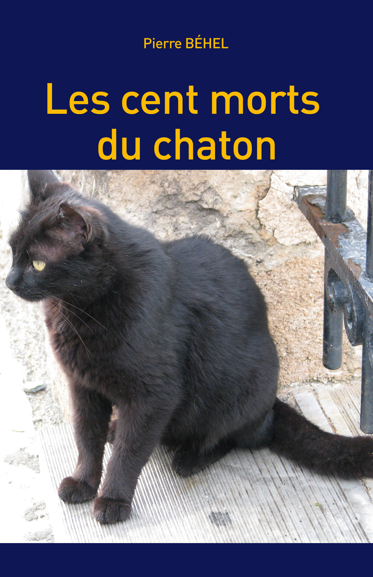 Les cent morts du chaton
