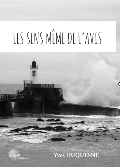 Les sens même de l'avis