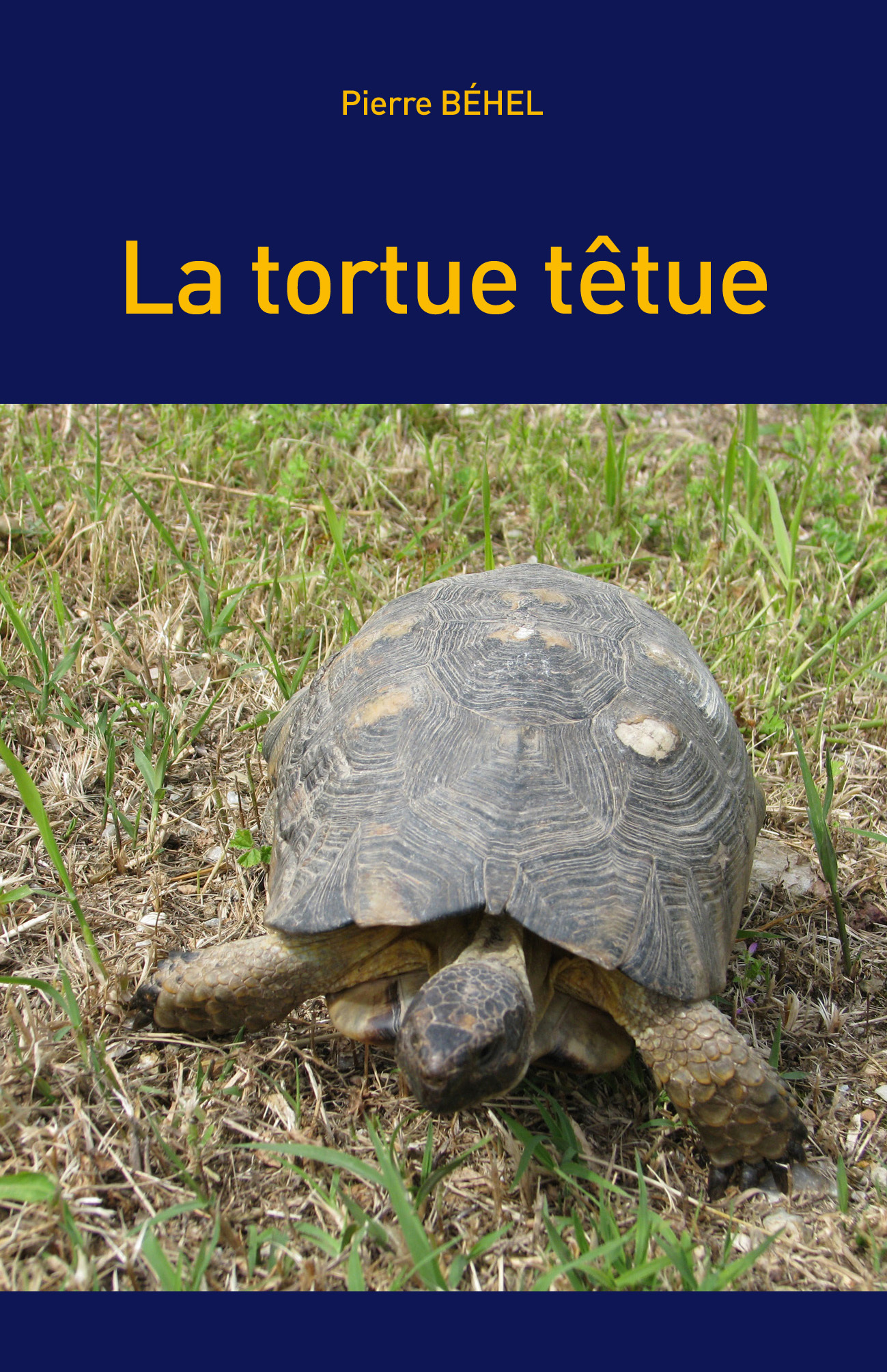 La tortue têtue
