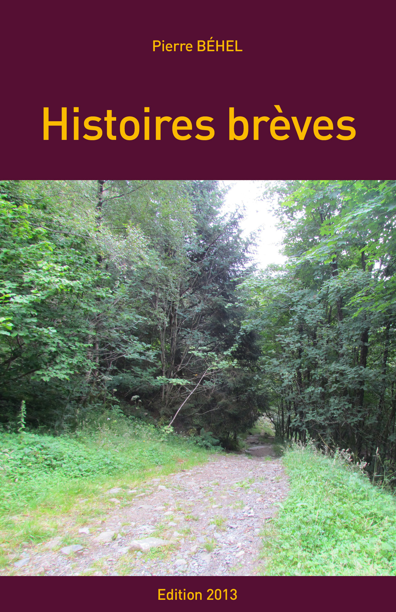 Histoires brèves – Edition 2013