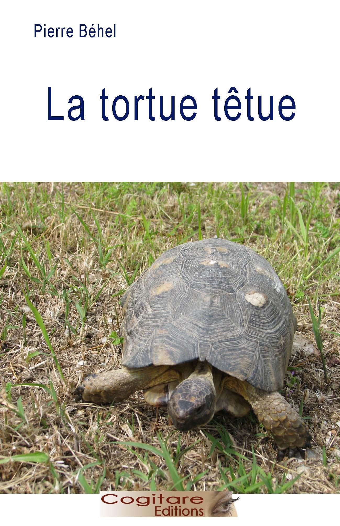 La Tortue Têtue