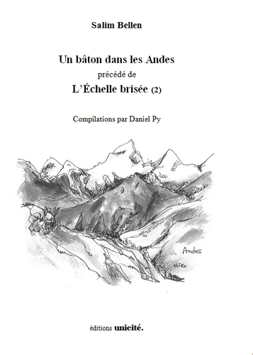 Un bâton dans les Andes