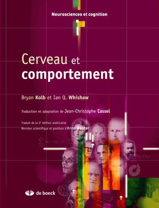 Cerveau et comportement